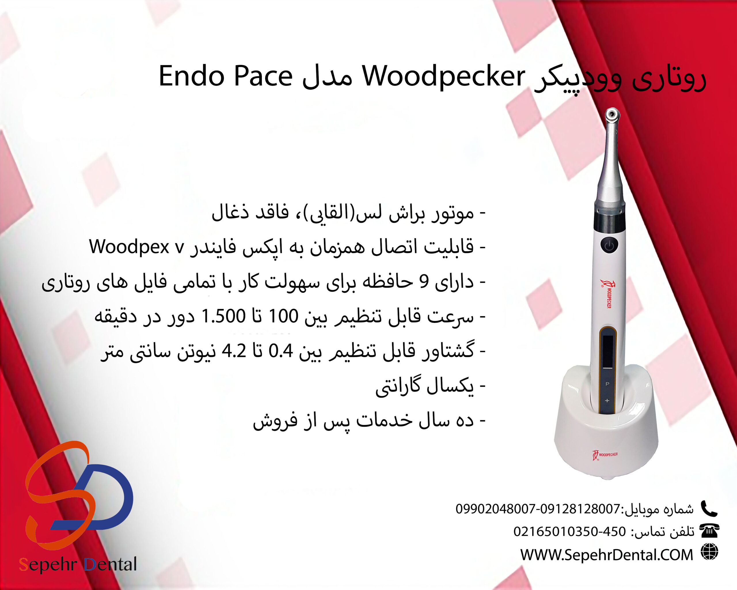 Woodpecker Endo Pace